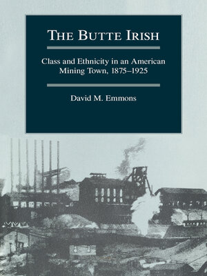 cover image of The Butte Irish